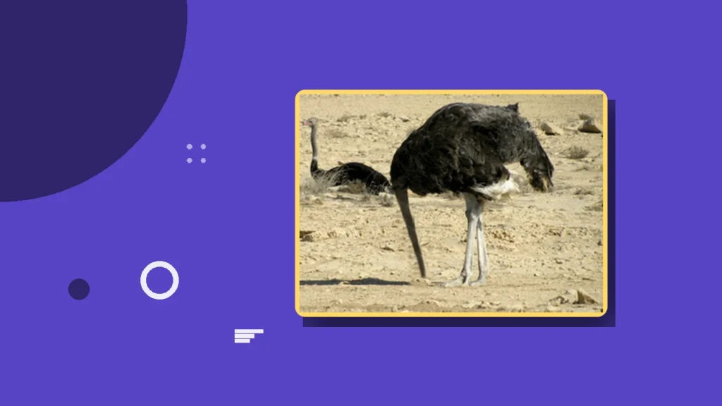 An ostrich with its head in the sand, a visual metaphor for the denial that keeps people stuck in abusive relationships.