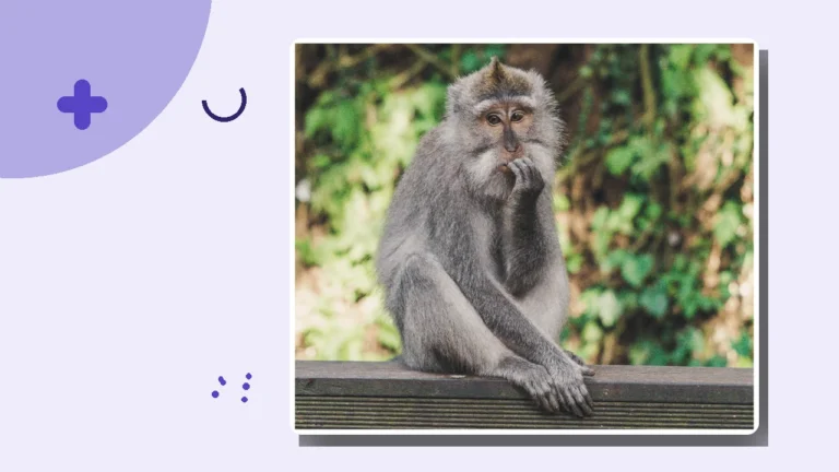A macaque with a hand near its mouth, illustrating how hard the subtle signs of emotional abuse can be to recognize.