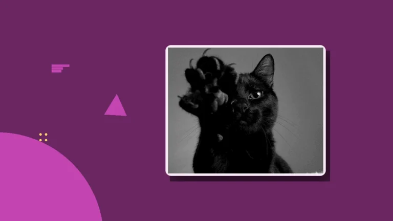 A black cat raising a paw playfully, a lighthearted image for a daily thought.